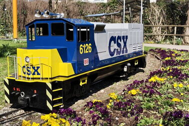 Bloom Train