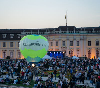 Ballonblühen