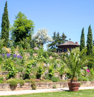 Weinberg