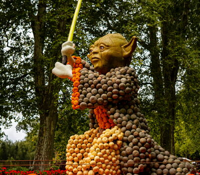 Verschiedene Kürbisse auf einer Wiese vor dem Residenzschloss Ludwigsburg