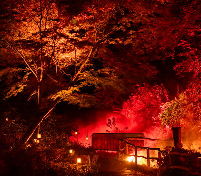 Lichterspektakel im Park vor dem Residenzschloss Ludwigsburg bei Nacht