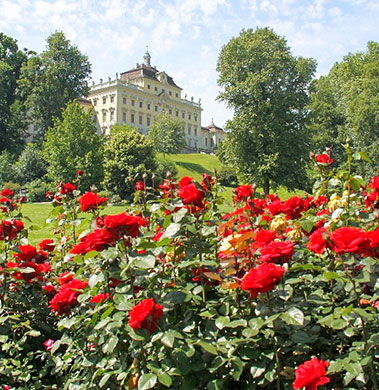 Rosengarten