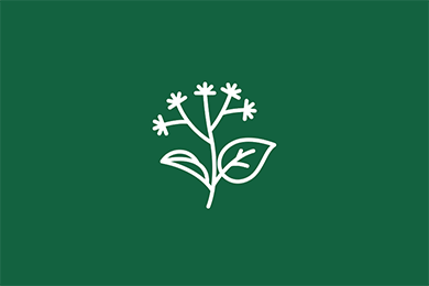 Symbol Kräuter