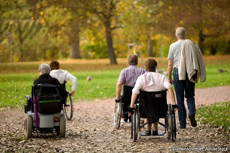 Gruppe von Rollstuhlfahrern und Fußgängern auf einem herbstlichen Parkweg.