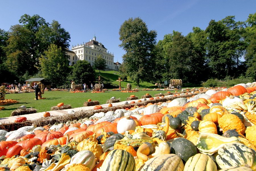 Das nächste Bild: Bunte Kürbisauswahl im Vordergrund, im Hintergrund das Schloss Ludwigsburg und Park.
