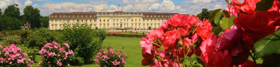 Strauchrosen Blühendes Barock Ludwigsburg Gartenschau, Märchengarten